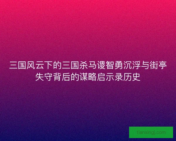 三国风云下的三国杀马谡智勇沉浮与街亭失守背后的谋略启示录历史 三国风云下的三国杀马谡智勇沉浮与街亭失守背后的谋略启示录历史