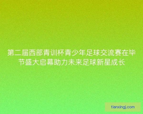 第二届西部青训杯青少年足球交流赛在毕节盛大启幕助力未来足球新星成长 第二届西部青训杯青少年足球交流赛在毕节盛大启幕助力未来足球新星成长
